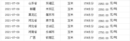 玉米最新价格与市场趋势分析