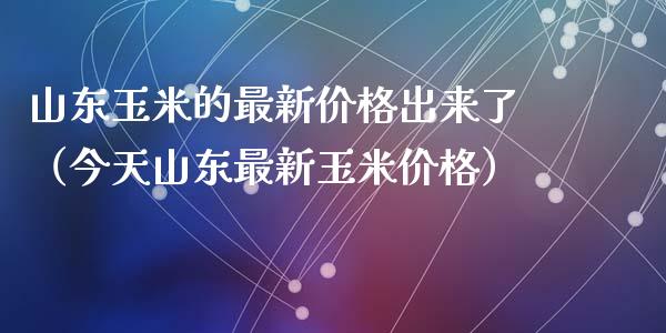 山东玉米今日最新价格行情解析