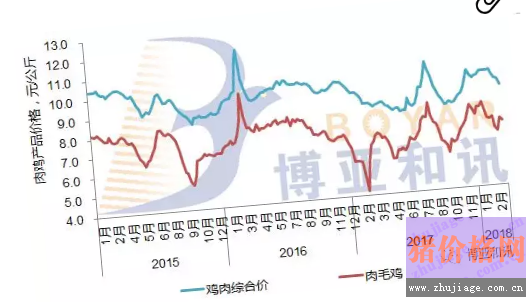 鸡肉市场最新动态，价格走势分析与预测报告