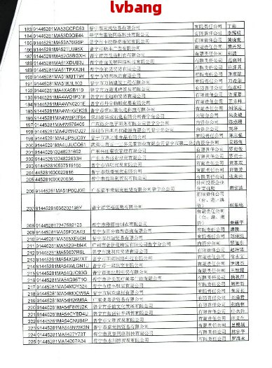 最新注册企业名录全景概览